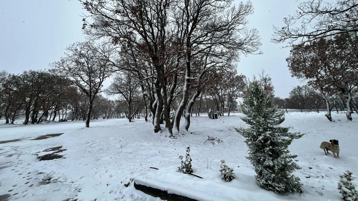 Trakya’da kar yağışı etkisini sürdürüyor